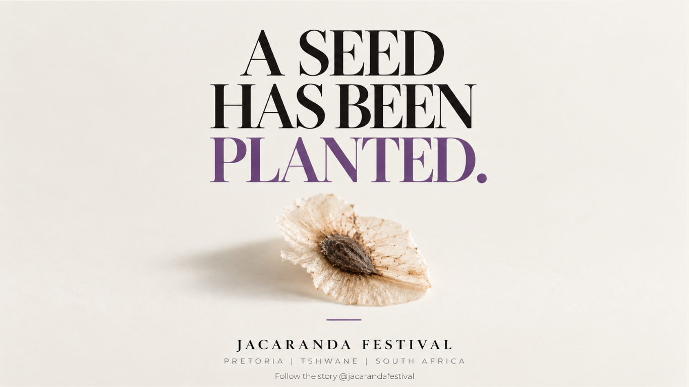 Jacaranda Festival. A seed has been planted.